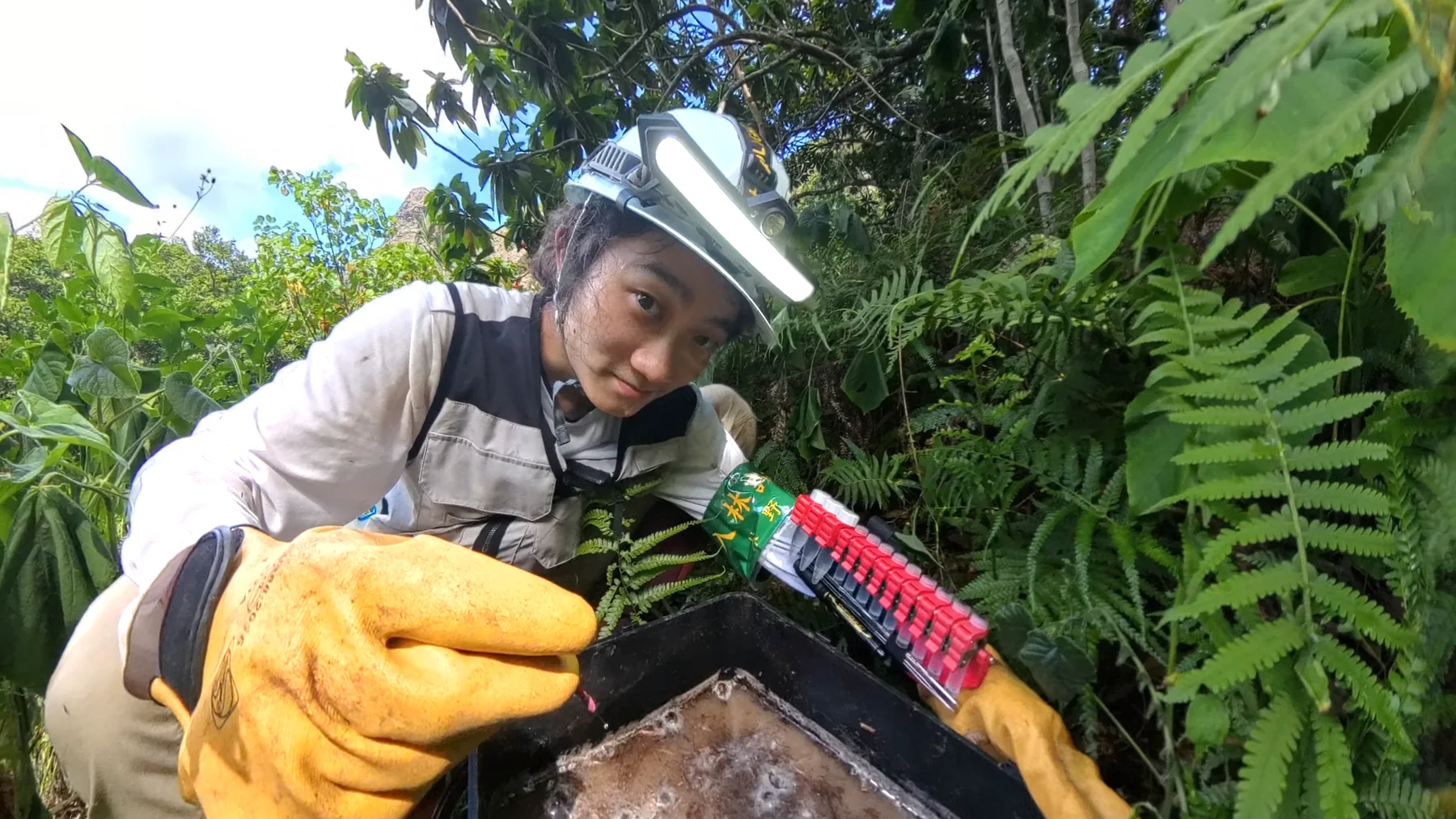 採集容器とサンプル管を持って調査している様子