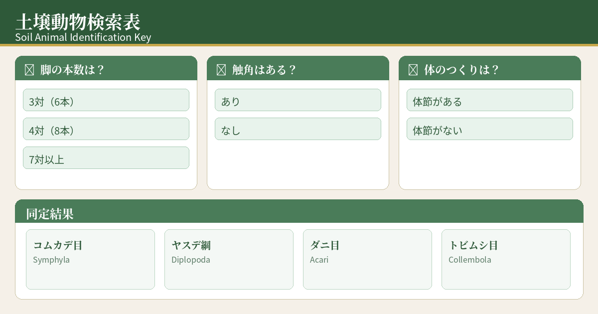 土壌動物検索表のスクリーンショット